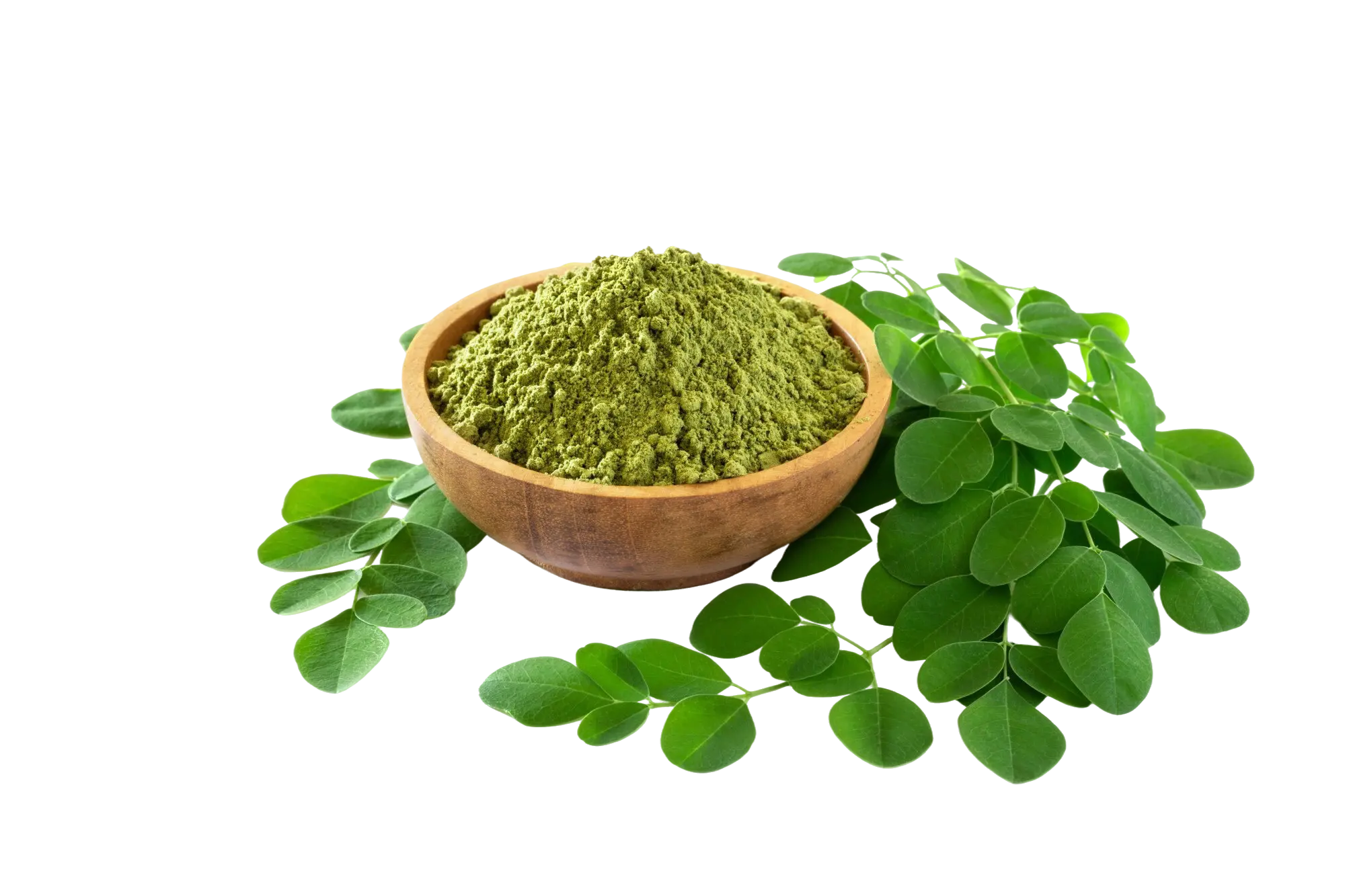 Daun Kelor Background